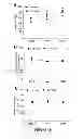 Fig. 11 - Methods and compositions for treating nephrogenic diabetes insipidus