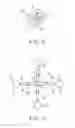 Fig. 11 - Hot-runner molding apparatus and hot-runner nozzle