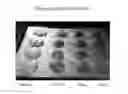 Fig. 01 - Low Calorie Sugar Substitute Composition and Methods for Making the Same