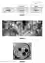 Fig. 02 - Method for the surface treatment of titanium bone implants using, in order, a sodium hydroxide bath and anodization