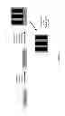 Fig. 08 - NEUTRAL LAYER POLYMERS, METHODS OF MANUFACTURE THEREOF AND ARTICLES COMPRISING THE SAME