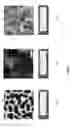 Fig. 09 - Orientation control layer formed on a free top surface of a first block copolymer from a mixture of first and second block copolymers