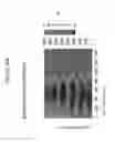 Fig. 28 - Scratch-resistant articles with retained optical properties