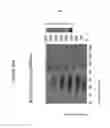Fig. 40 - Scratch-resistant articles with retained optical properties