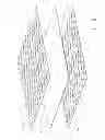 Fig. 09 - METHODS FOR MAKING MULTI-LAYERED PLASTIC END PRODUCTS
