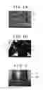 Fig. 02 - Electrical Insulation Resin Composition, Cured Product Thereof, Methods of Preparing the Composition and the Product, and High Voltage Apparatuses and Power Transmission and Distribution Apparatuses Using the Composition and the Product
