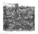 Fig. 04 - ADHESIVE TAPE PREVENTING ADHESION BY AQUATIC ORGANISMS