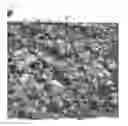 Fig. 07 - ADHESIVE TAPE PREVENTING ADHESION BY AQUATIC ORGANISMS