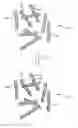Fig. 01 - METHOD FOR MAKING A DISCONTINUOUS FIBER MOLDING COMPOUND