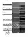 Fig. 01 - Metallic nanomesh