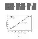 Fig. 06 - Metallic nanomesh