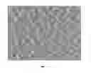 Fig. 07 - Metallic nanomesh
