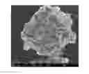Fig. 01 - Composite cathode active material, method of preparing the composite cathode active material, and cathode and lithium battery each including the composite cathode active material