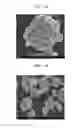 Fig. 02 - Composite cathode active material, method of preparing the composite cathode active material, and cathode and lithium battery each including the composite cathode active material