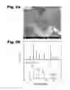 Fig. 03 - LITHIUM ALL-SOLID-STATE BATTERY