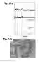 Fig. 16 - LITHIUM ALL-SOLID-STATE BATTERY