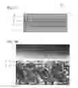 Fig. 02 - Solid oxide fuel cell, fuel cell module, and fuel cell device