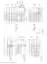 Fig. 09 - Mask for microlithography and scanning projection exposure method utilizing the mask