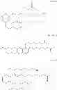 Fig. 06 - Toner for electrostatic image development