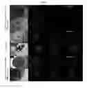 Fig. 08 - METHOD FOR CULTURING ISLET CELLS AND METHOD FOR PREPARING CARRIER FOR ISLET CELL TRANSPLANTATION USING ATELOCOLLAGEN, AND ARTIFICIAL PANCREAS PREPARED USING SAME