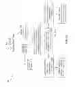 Fig. 06 - RAPID BREEDING OF ANIMALS