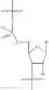 Fig. 22 - Chemically-enhanced primer compositions, methods and kits