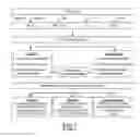 Fig. 02 - Methods for identifying dendritic cell subsets, for determining if a patient is developing a regulatory or an effector immune response, and for determining response to immunotherapy