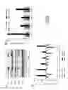 Fig. 09 - Methods for identifying dendritic cell subsets, for determining if a patient is developing a regulatory or an effector immune response, and for determining response to immunotherapy
