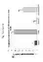Fig. 15 - Detection Marker for Anticancer Effects by Selenomethionine as an Inhibitor of Environmental Toxicity