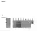 Fig. 06 - Compositions and methods for characterizing a myopathy