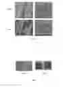 Fig. 03 - Three dimensional lignocellulosic detection device
