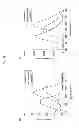 Fig. 04 - Two-photon absorbing compound with methods of synthesis and use
