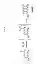 Fig. 05 - Two-photon absorbing compound with methods of synthesis and use