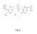 Fig. 06 - Process for the enzymatic regeneration of redox cofactors