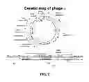 Fig. 03 - Plasmids and phages for homologous recombination and methods of use