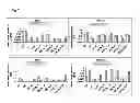 Fig. 08 - INDUCTION OF DEDIFFERENTIATION OF MESENCHYMAL STROMAL CELLS