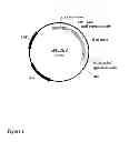 Fig. 02 - Detergent compositions containing mannanase and methods of use thereof