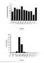 Fig. 08 - Microbial deactivation of explosive compositions