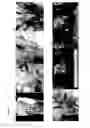 Fig. 06 - Bioengineered allogeneic blood vessel