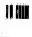 Fig. 06 - Derivation of embryonic stem cells