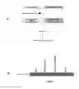 Fig. 02 - METHOD FOR INSERTING GENETIC MATERIAL INTO GENOMIC DNA
