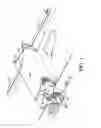 Fig. 02 - Device for removing skin of meat cuts of irregular thickness