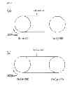 Fig. 06 - V-ribbed belt
