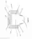 Fig. 02 - Methods and Apparatuses for Tucking Side Panels of Absorbent Articles