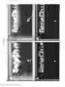 Fig. 17 - Amplification and analysis of selected targets on solid supports