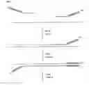 Fig. 02 - Circularized templates for sequencing