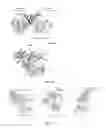 Fig. 07 - Biosensor for detecting RAF/KSR family kinase dimerization and uses thereof