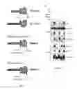 Fig. 08 - Biosensor for detecting RAF/KSR family kinase dimerization and uses thereof