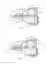 Fig. 13 - Irrigation and aspiration device and method
