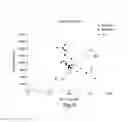 Fig. 07 - Multiplexed assay kit to evaluate the efficacy of treatment for inflammatory bowel disease